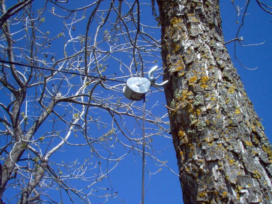 Half square antenna easy wire dx antenna amateur radio club oroville ca